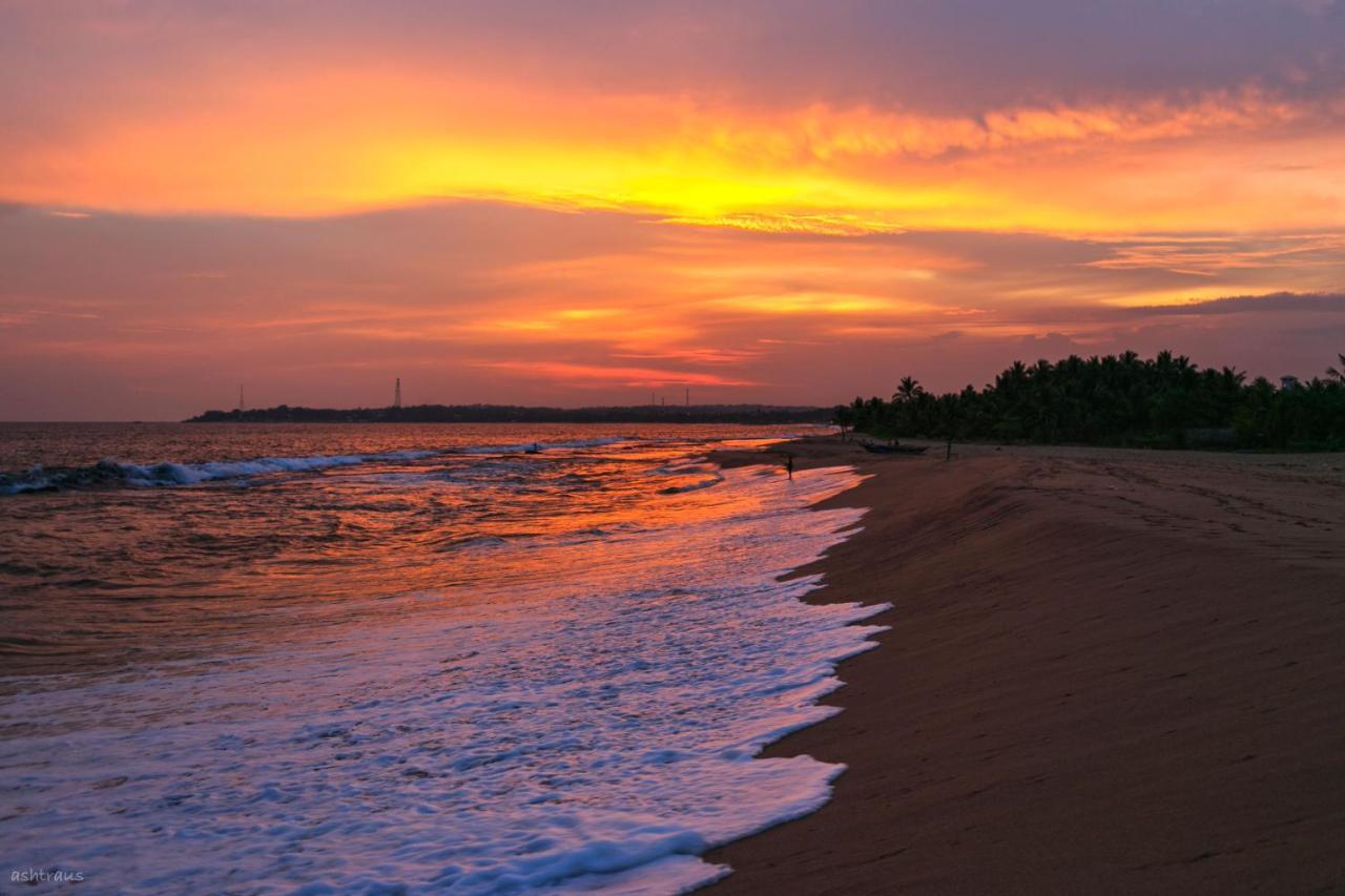 Neem Jay Beach Resort Тангалле Екстер'єр фото